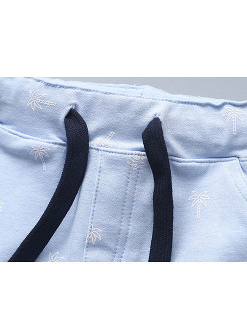 Little Boys Coconut Tree Print Pull-on Shorts - bounti4lme